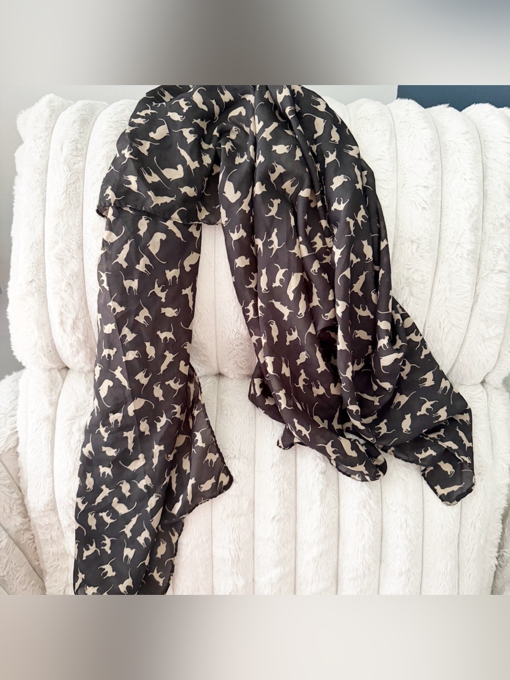 Sheer novelty cat printed scarf